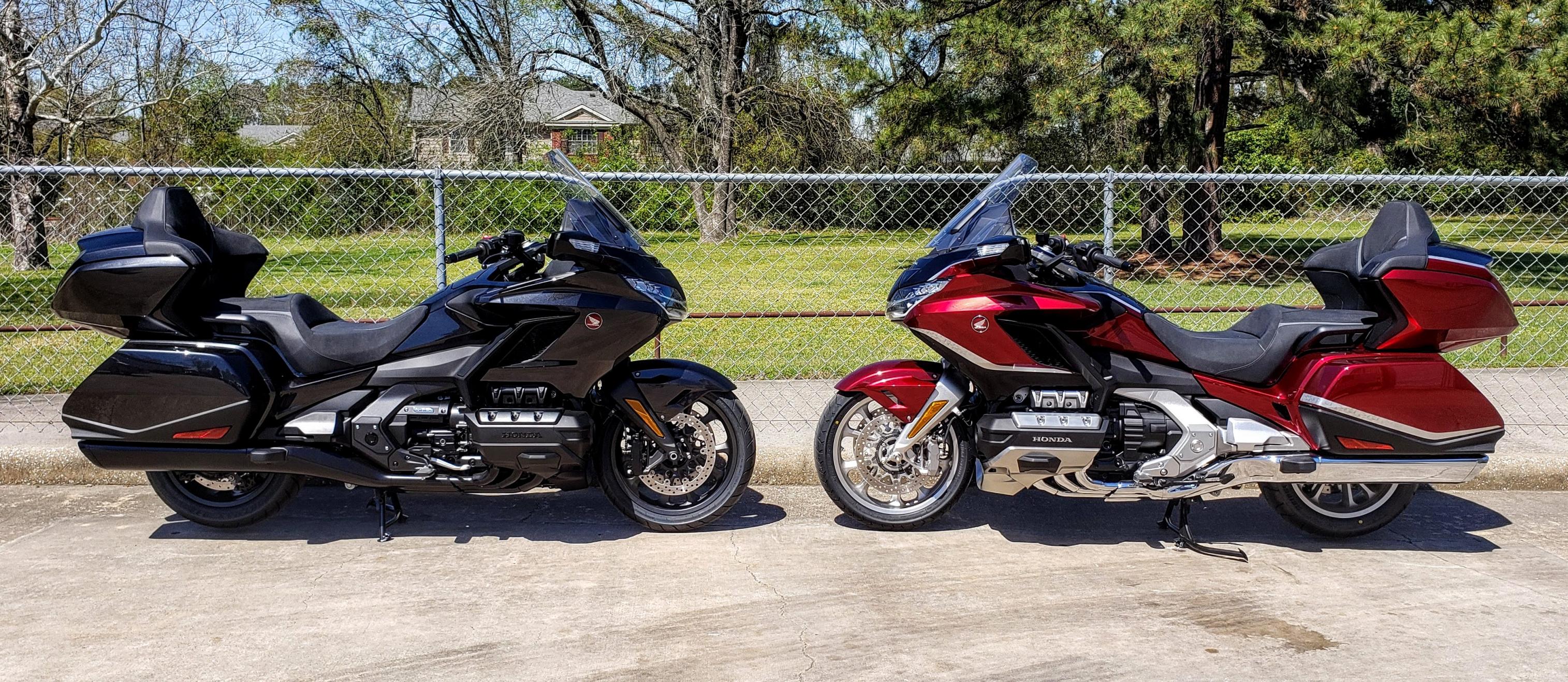2021Goldwings2.jpg