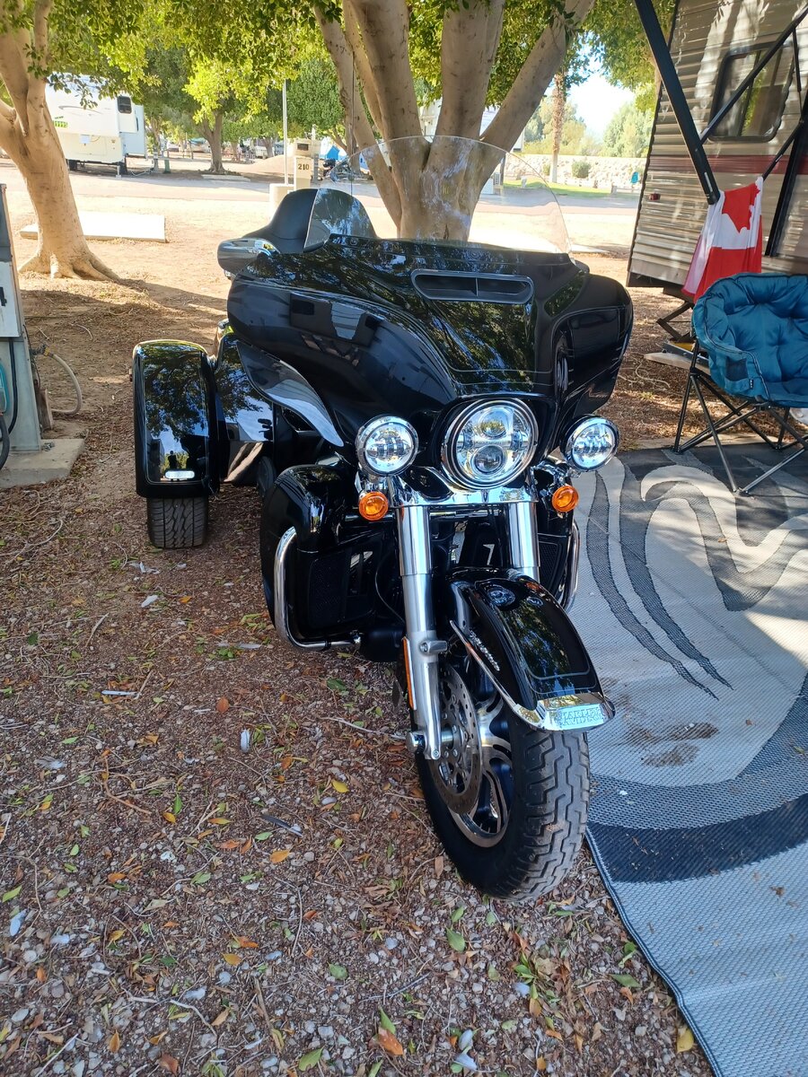 2024 Tri Glide.jpg