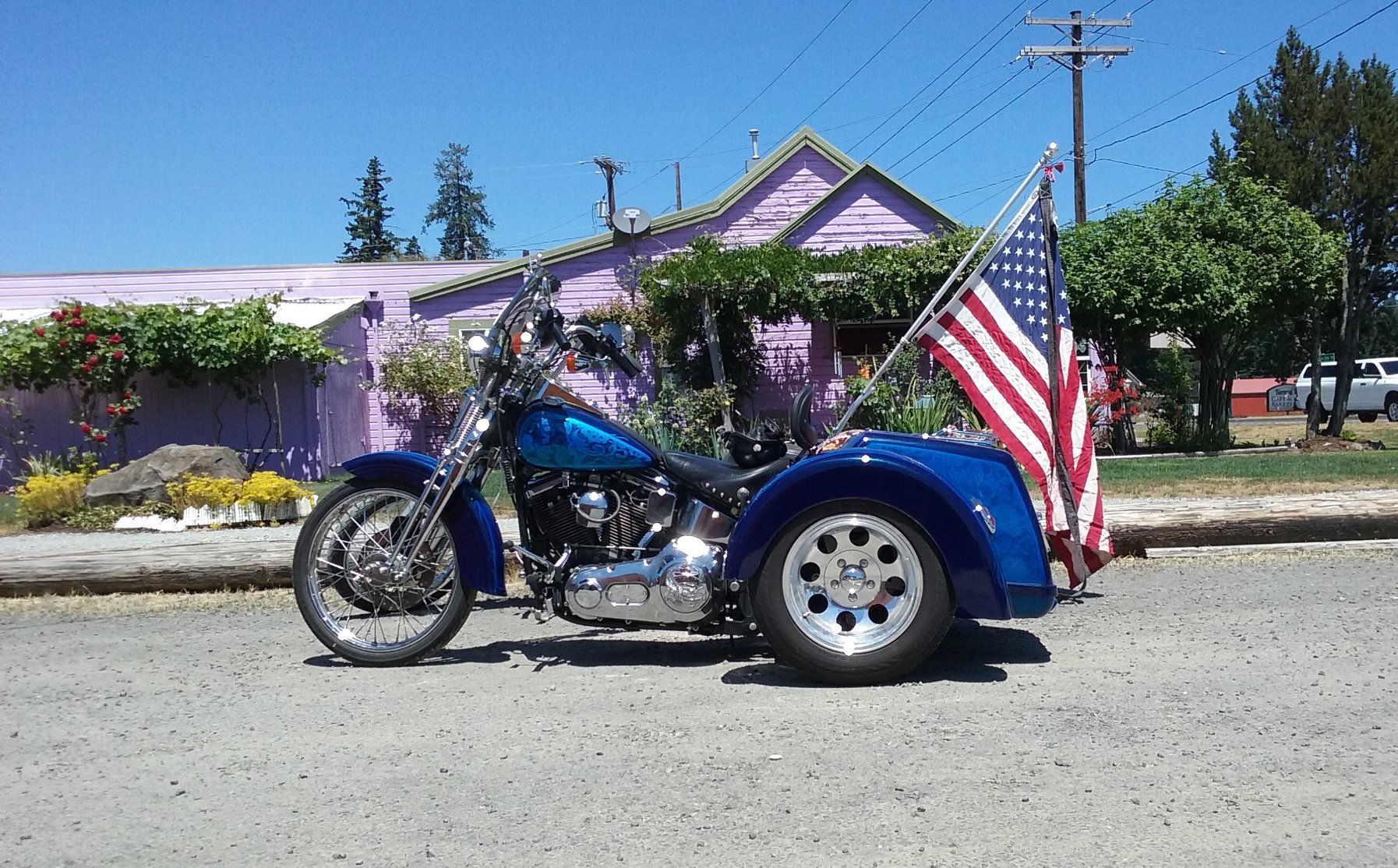 Trike Flag.jpg