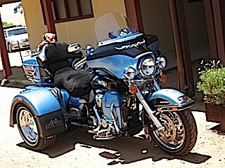Annie's trike-1.jpg