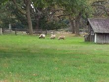Pennsbury Manor3.jpg Pennsbury Manor3.jpg