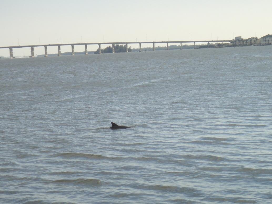 Florida 2011 062.jpg