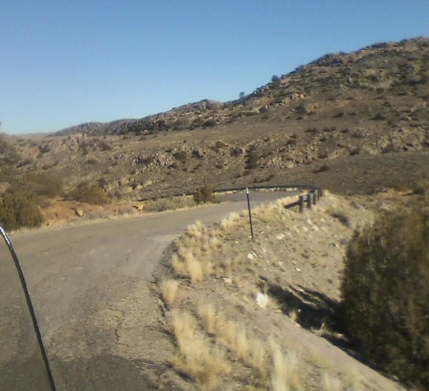 33 more steep twisties- freemont canyon.jpg