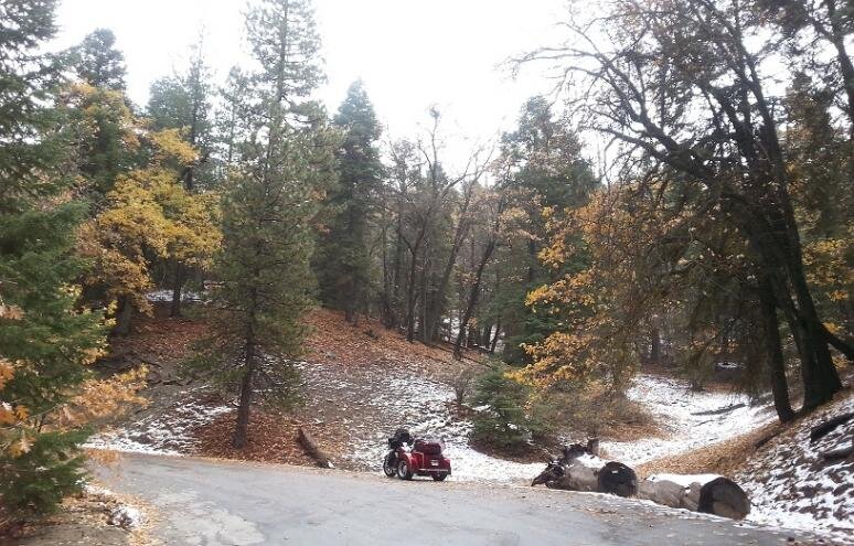 snow1.jpg