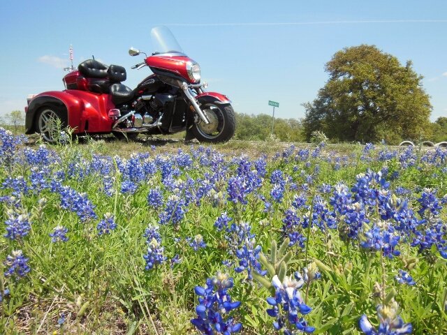 Flw4 (640x480).jpg