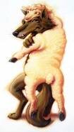 wolf6.jpg