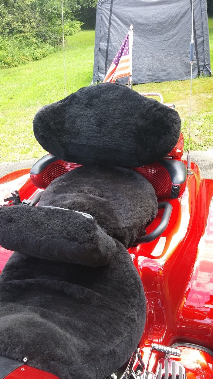 seat covers.jpg