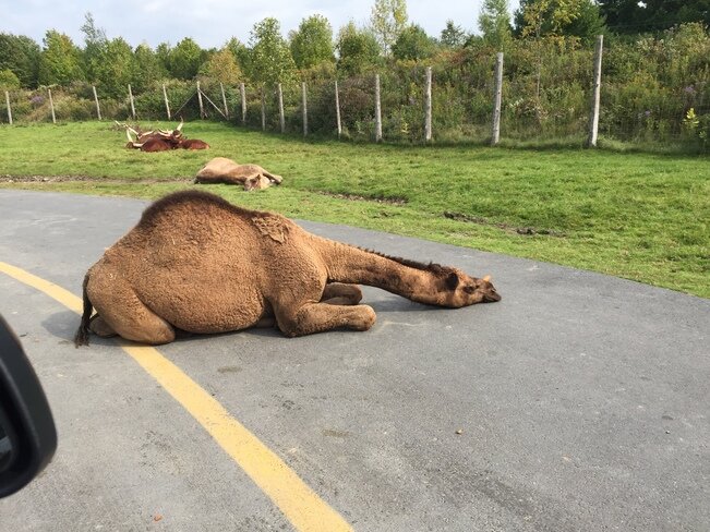 bumpintheroad.jpg