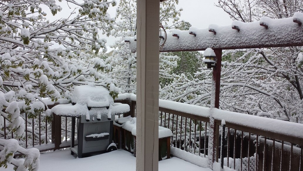 Snow3.jpg