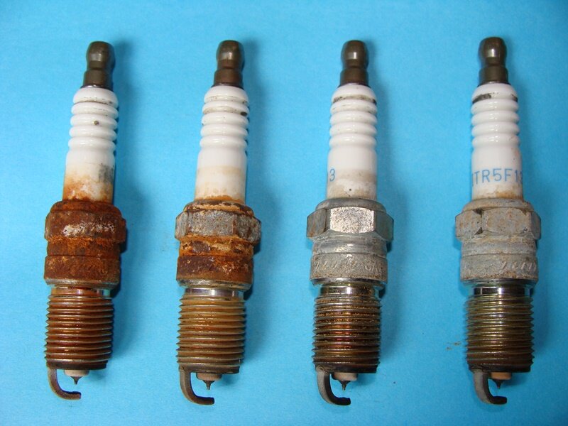 Stallion Plugs.JPG