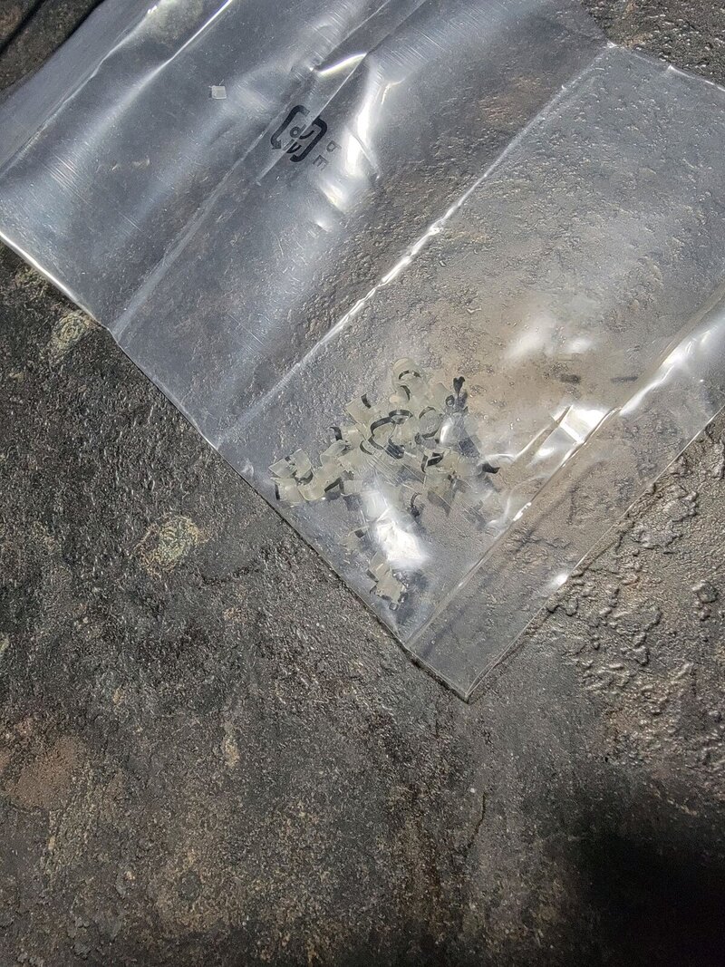 Plastic items in fuel tank of 18 Goldwing.jpg