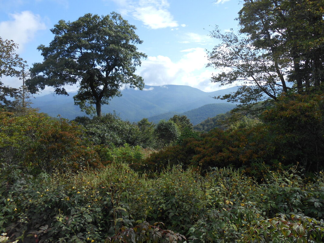 DSCN1134.JPG