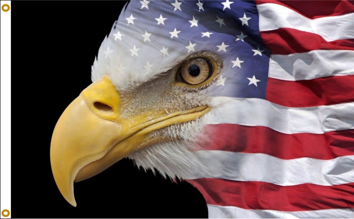 USFLAGEAGLE-606.jpg