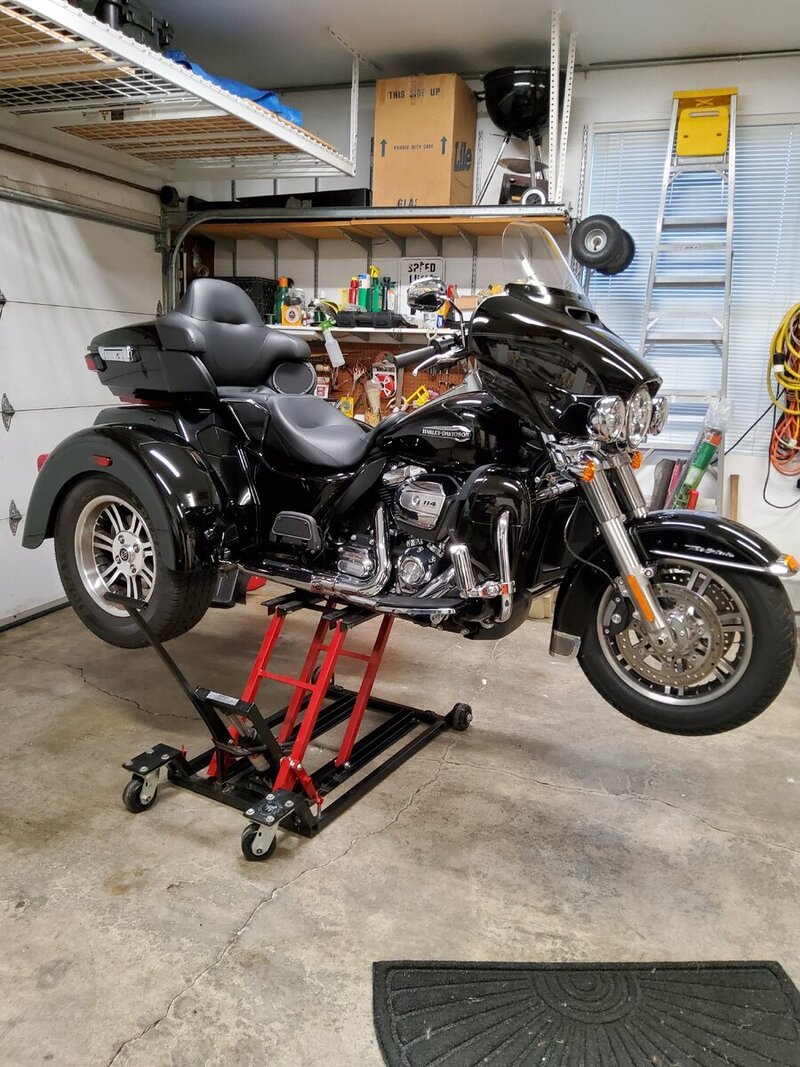 Pit Bull Trike Jack.jpg