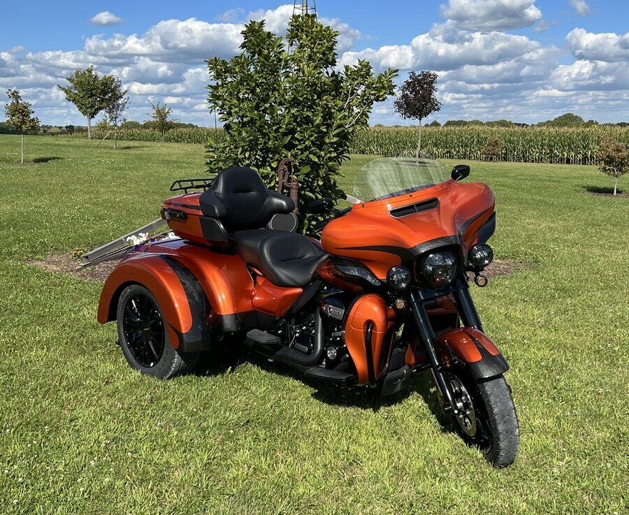 OrangeHDcarlIMG_0616.jpeg