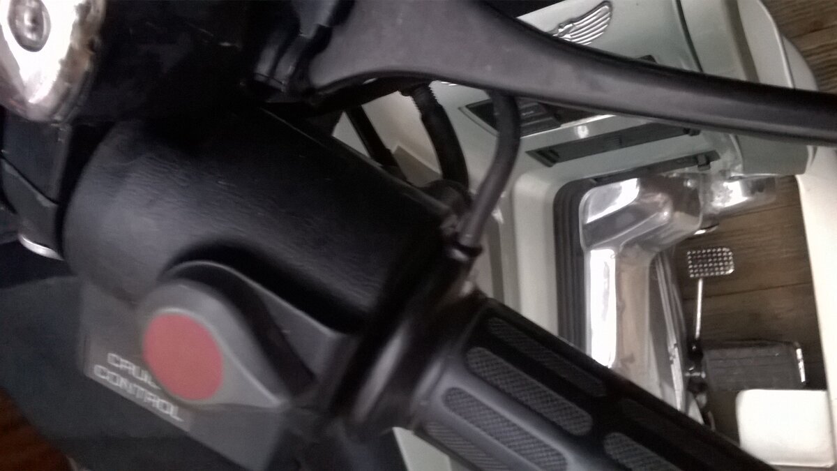 WP_20241229_09_27_28_Pro.jpg