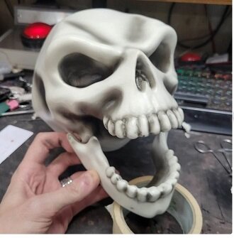skull 1.JPG