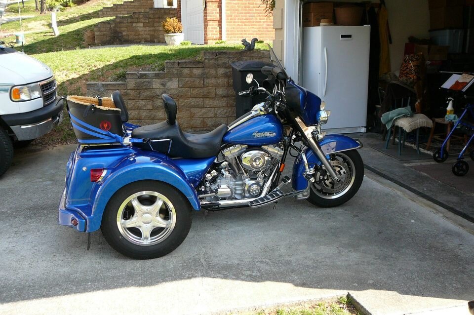 The Blue Goose II 003.jpg