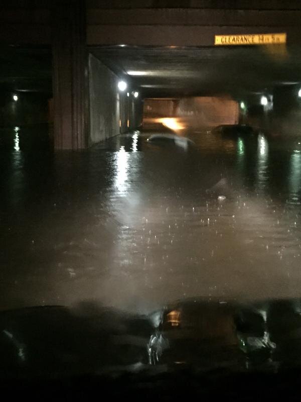 toyota center.jpg