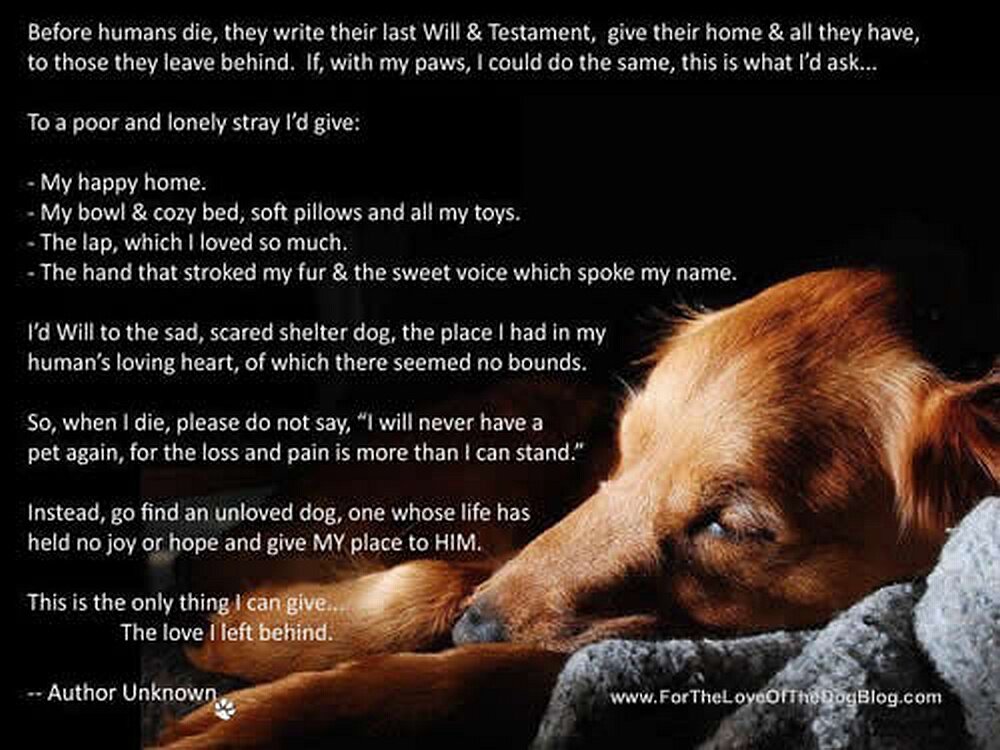Dogs last will & Testament.jpg