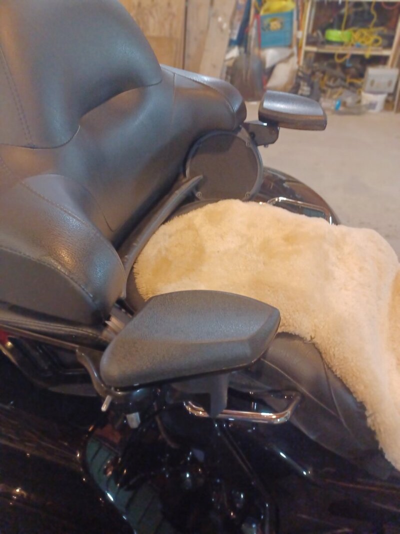 24 Tri Glide Kuryakyn Arm Wrests.jpg