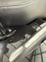 IMG_6509.jpeg