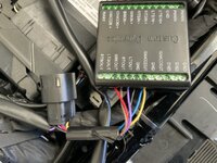 IMG_4384.jpeg
