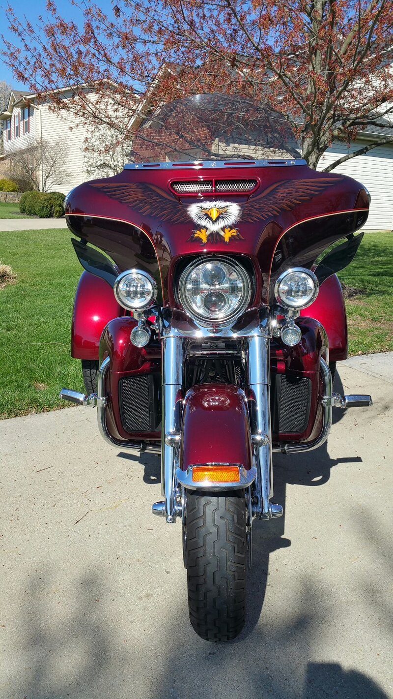 Eagle front.jpg