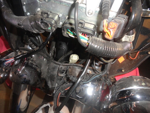 DSC01222.JPG