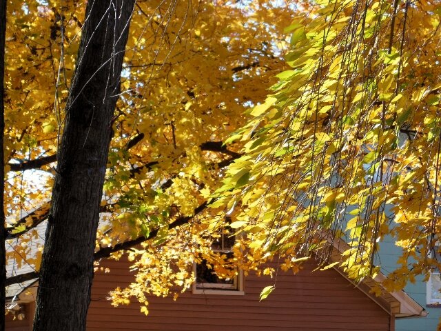 DSCN2078 (640x480).jpg