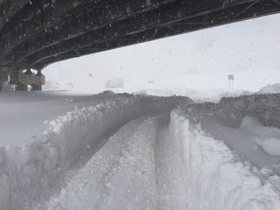 Buffalo.jpg