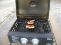 17 grilling out in January.JPG