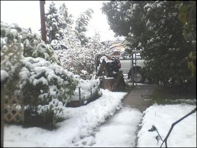 first%20day%20of%20snow%20%209-27-13%20-2.jpg