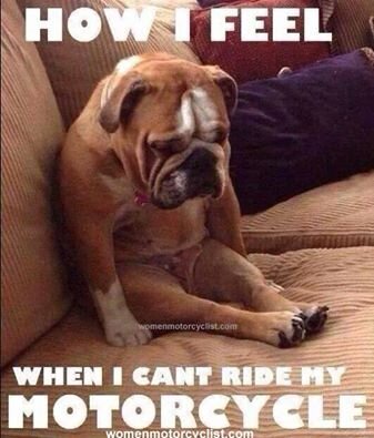 how i feel cant ride.jpg