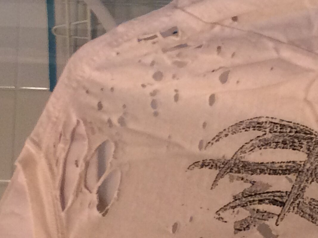 Shirt4.JPG