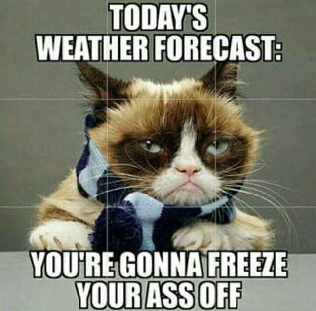 GrumpyFreeze.jpg