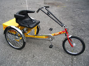 PAVwFlamesF-300.jpg