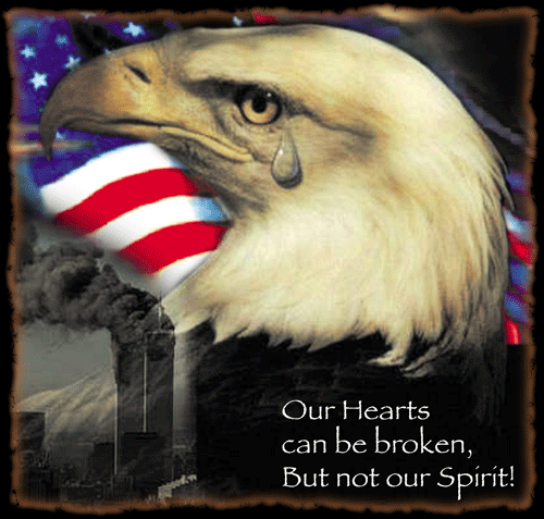 EAGLE2-TEAR.gif
