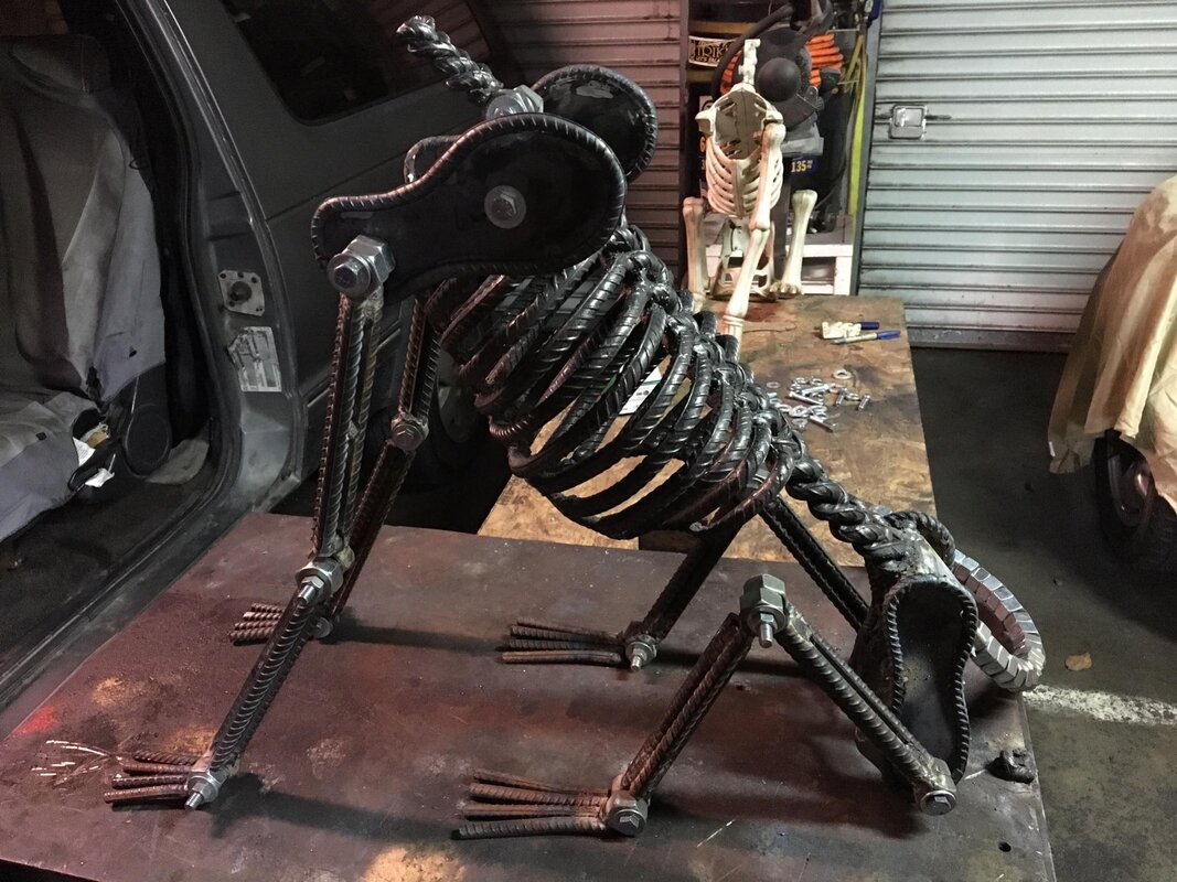 dog.jpg