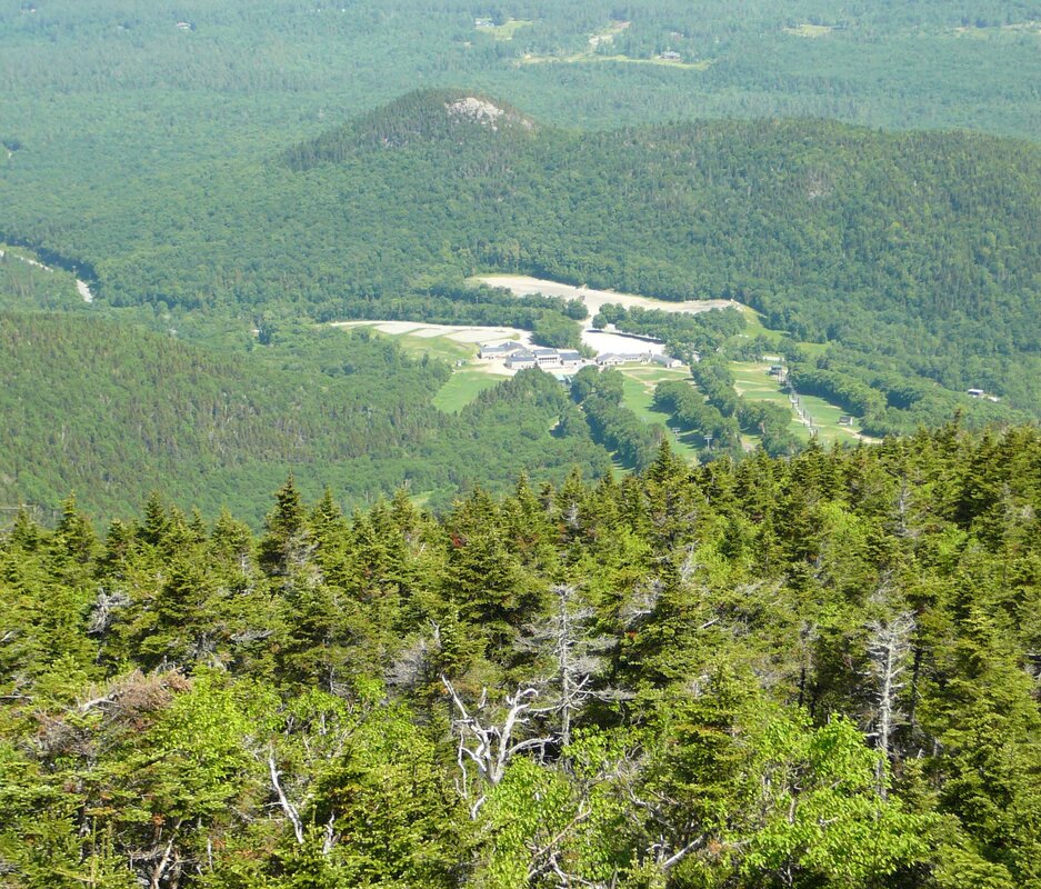 P1140911 cropped.jpg