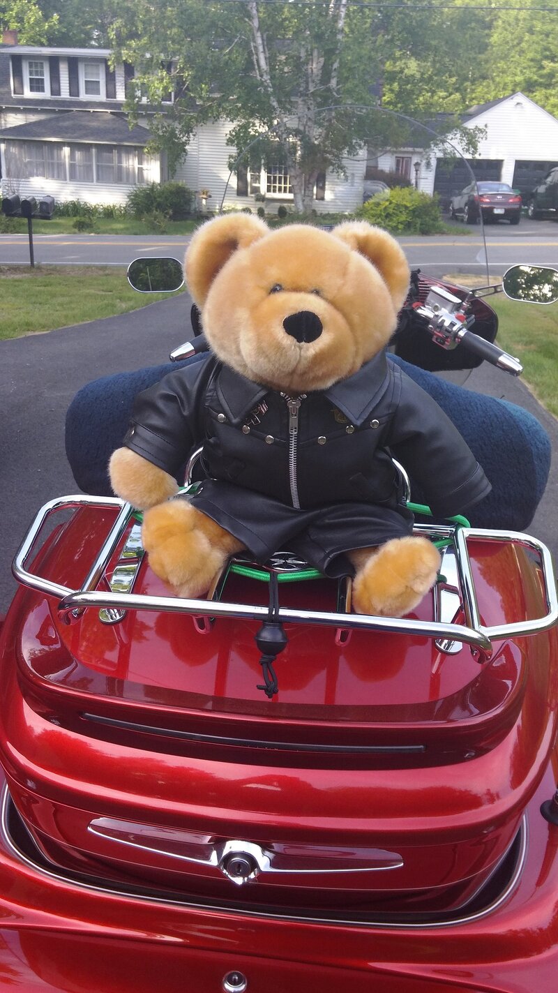 D A Bear.jpg