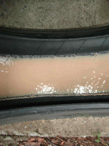 rsz_1rsz_gedc0284.jpg rsz_1rsz_gedc0284.jpg