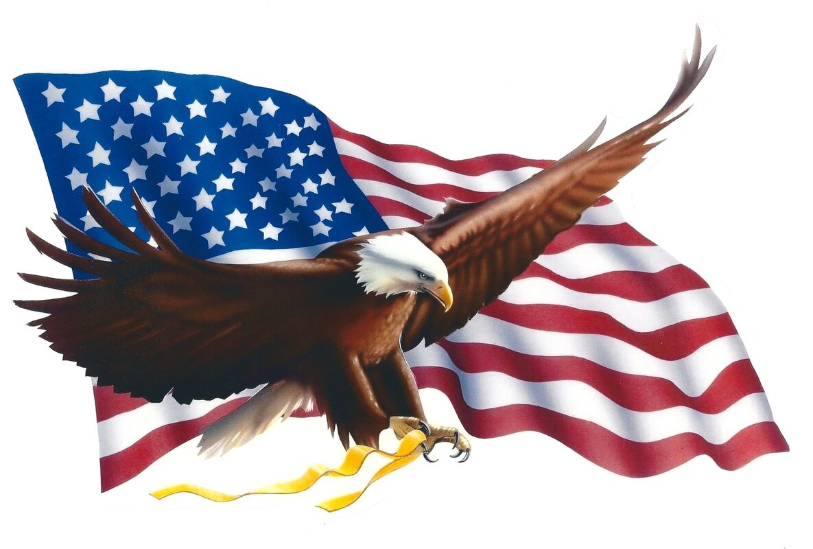 American Flag & Eagle 1.jpg