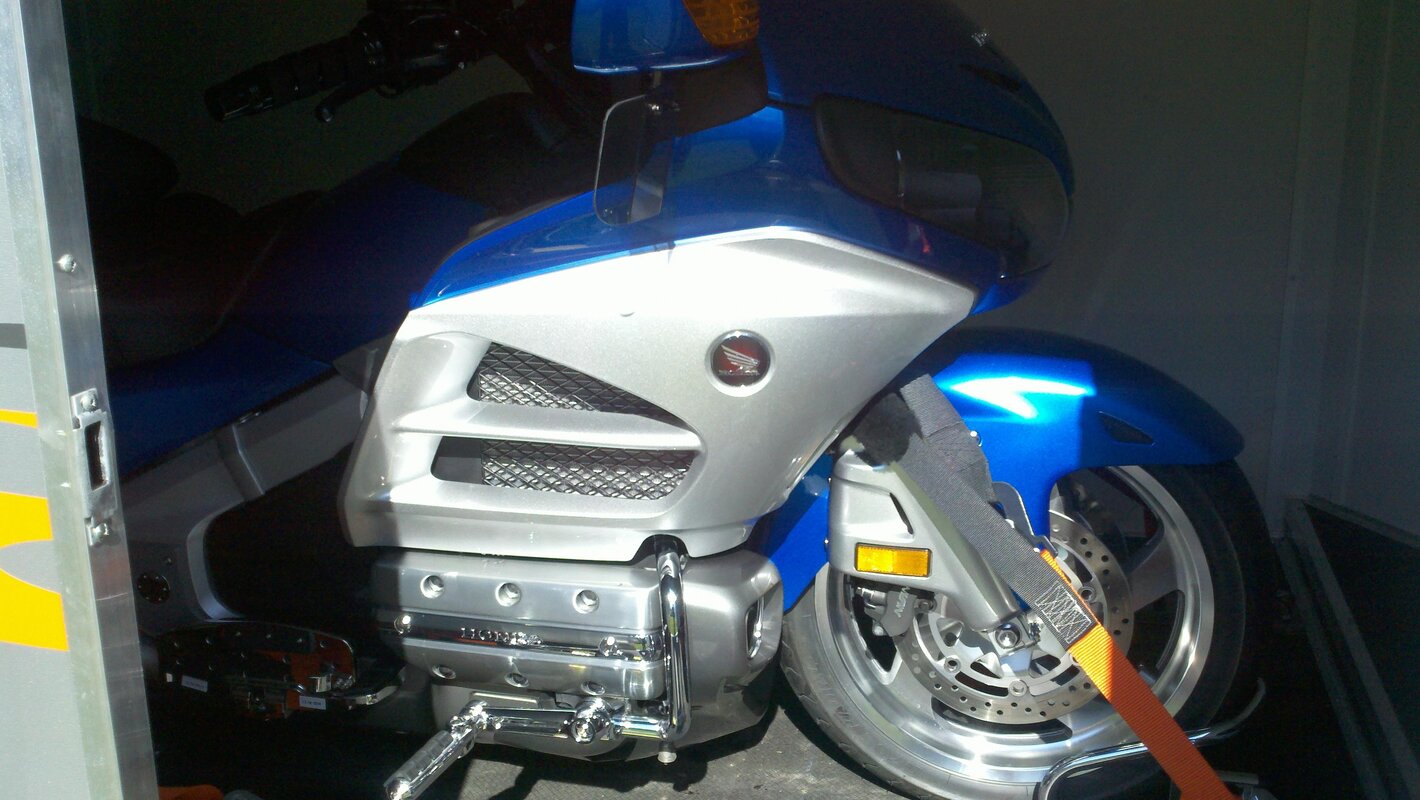 wingstrapped.jpg
