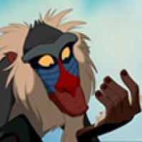 jungle- rafki resized.jpg