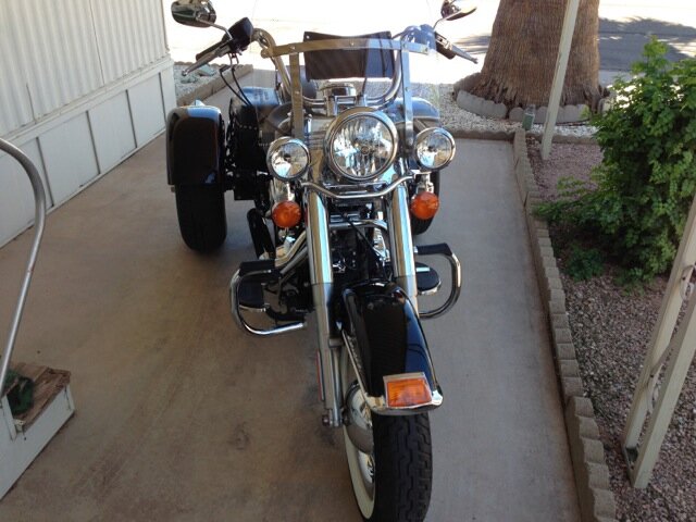 Front head on.jpg
