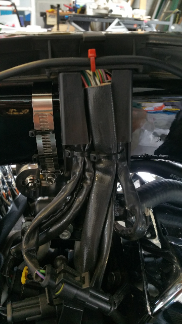 Wiring Harness.png Wiring Harness.png