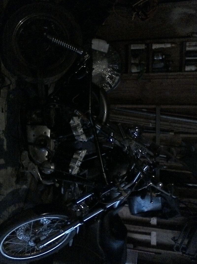 80 HARLEY 2.jpg