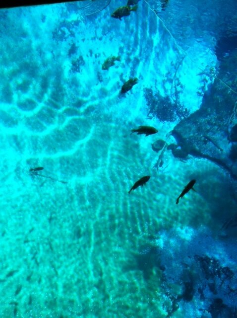 IMG_3582.JPG