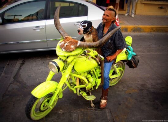 Motorcycle-with-horns-dog-in-Mexican-wrestling-mask-Mazatlan-Mexico-GoMazatlanNo.jpg